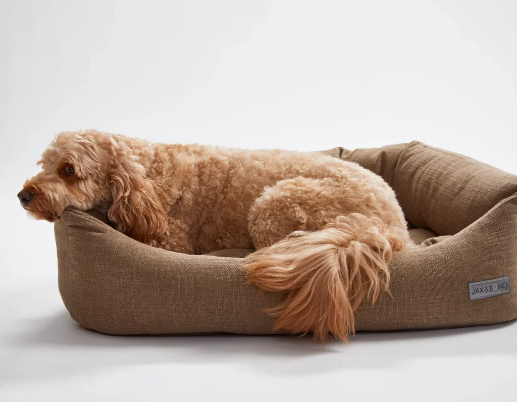 250305_JAB_Napper_WarbyBeige_Lifestyle151800x1400_1800x1800