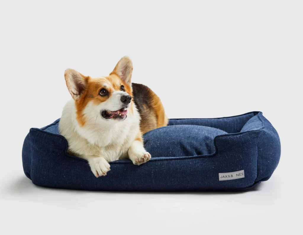 251030_JAB_Lifestyle_21681800x1400_bfcd6b4e-1288-458a-9ef7-0f3b9ecc93ad_1800x1800