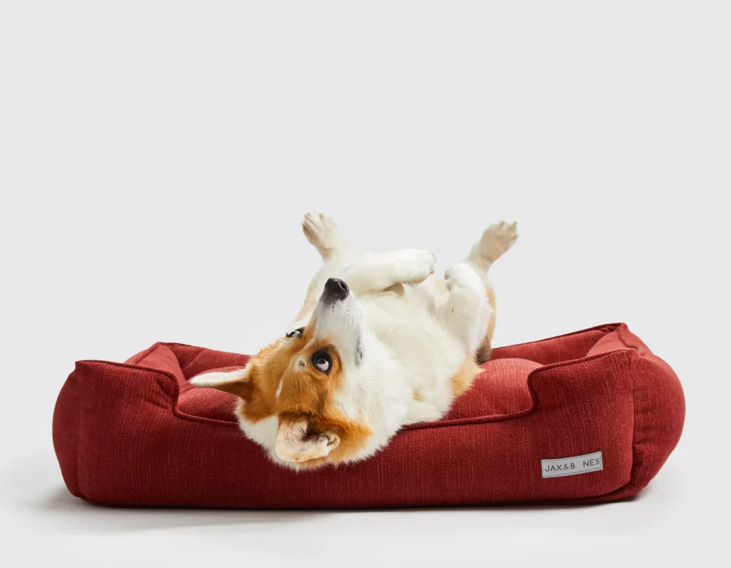 251030_JAB_Lifestyle_21971800x1400_3c95d3b8-b789-4952-a91e-0d614b3d7130_1800x1800