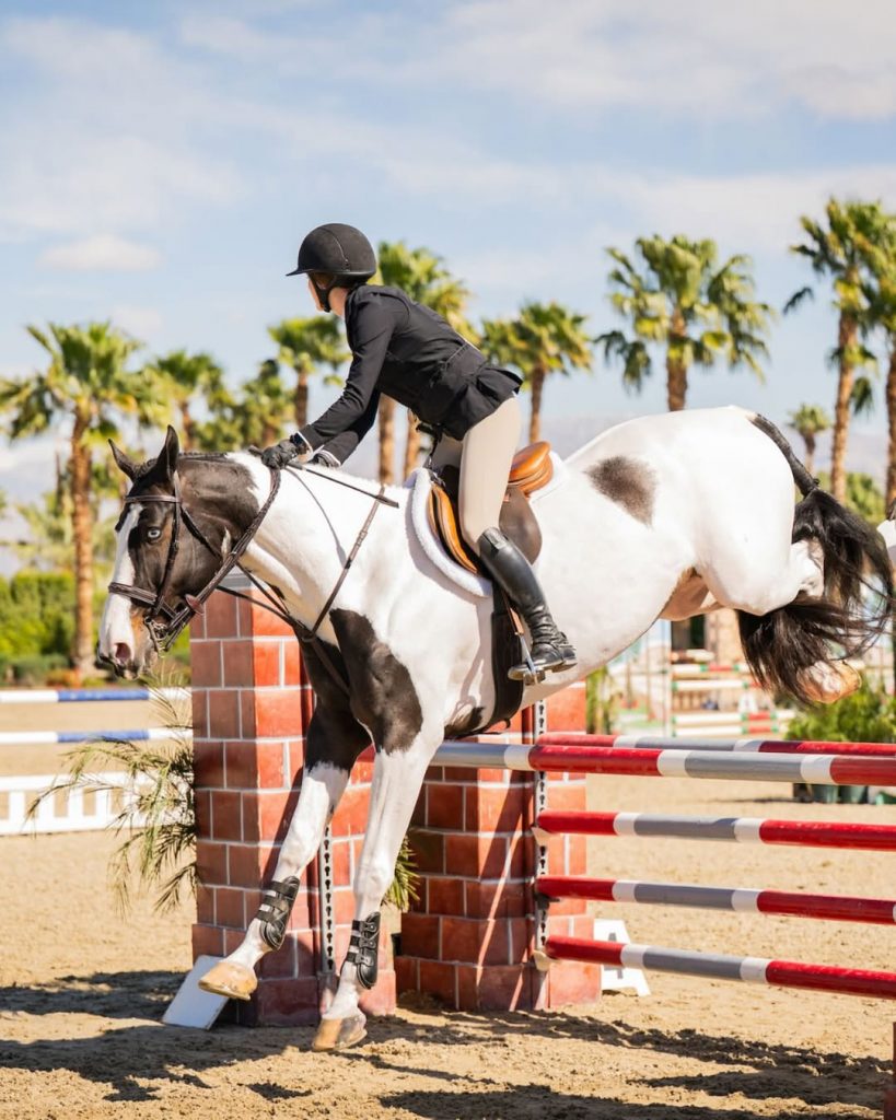 SnapInsta.to_493879421_18342269794084274_1922337222851537363_n